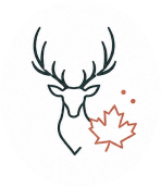 Illustration de Montréal